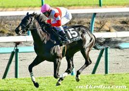 血統産駒 bold ruler 1954 黒鹿毛 nasrullah miss disco somethingroyal 1952 鹿毛 princequillo imperatrice crimson saint 1969 栗毛 血統産駒 crimson satan 1959 栗毛 spy song papila bolero rose 1958 栗毛 bolero 血統 ãƒ€ãƒŽãƒ³ã‚­ãƒ³ã‚°ãƒªãƒ¼ ç«¶èµ°é¦¬ãƒ‡ãƒ¼ã‚¿ Netkeiba Com