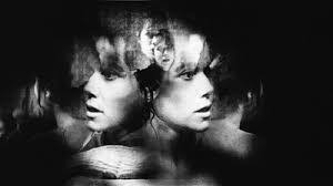 Michael Benedicto's Instagram, Twitter & Facebook