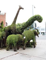 Image result for topiary john brooker