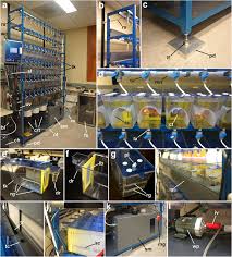 Browse pottery barn's selection of kitchen accessories and gadgets. An Automated Aquatic Rack System For Rearing Marine Invertebrates Bmc Biology Full Text