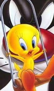 Looney Tunes Silvestre Y Piolin Dibujos Animados Clasicos Divujos Animados