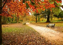 There are normally 111 trains per day travelling from hampden park (sussex) to eastbourne and tickets for this journey start from £2.90 when you book in advance. Autumn In Hampden Park Lionel Fraser Pictures Of Eastbourne England Photography Landscapes Nature Seasons Autumn Artpal