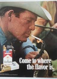 1968 LARGE Print Ad of Borden Smith Douglas Big Fruiter Cotton Corn  Fertilizer