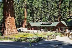 Find sequoia national park gifts and merchandise printed on quality products that are produced one at a time in socially responsible ways. Places To Go Sequoia Kings Canyon National Parks U S National Park Service