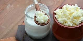 Certains microbiotes intestinaux favorisent le développement de l'obésité et des pathologies associées, tel le diabète. Le Kefir Fait Il Grossir