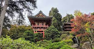 Enjoy Afternoon Tea At The Japanese Tea Garden In San Francisco