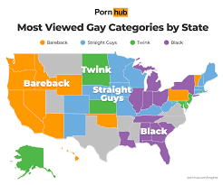 PornHubs State-by-State Gay Porn Preferences Revealed - The Pink Times