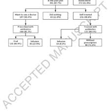 Image result for Andropogon perligulatus