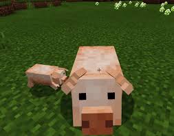 To install the minecraft mods, proceed as follows:. Cuter Vanilla Pigs Addon Mod Minecraft Pe 1 13 1 1 12 1 1 12 0
