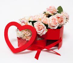 Maybe you would like to learn more about one of these? W9850 Red Heart Shape Flower Box With Window Lid Two Layers