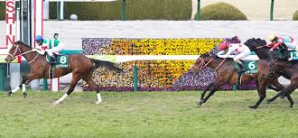 제물(전파녀와 청춘남)과 요청작(중고라도 사랑이 7권 이후) 쉣그어그. 8uwmw7op92ky M