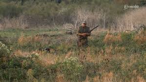 Compte officiel du département de la vendée. Chasse Ouverture De La Saison 2020 2021 Actu