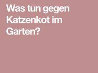 Was Tun Gegen Katzenkot Im Garten Katzenkot Kot Katzen