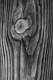 Black And White Wood Grain Background Wood Grain Vector Wood Grain Texture Wood Grain Vector Wood Grain