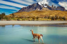 Chile hosted the defense ministerial of the americas in 2002 and the apec summit and related meetings in 2004. Bilder Nationalpark Torres Del Paine Chile Franks Travelbox