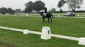 Captain of the kuja pirates and shichibukai. Tiggy Hancock Monarch Of The Glen Kilguilky International 1 Winners Youtube