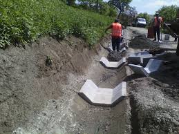 Drumuri si poduri sa şoseaua alba iulia nr. Home