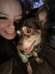 This is what happen when God send you an angel in your life... Let's take  care our animals please..