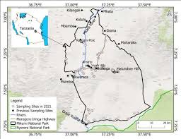 Image result for Englerina muerensis