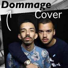 Regarder le clip sans le son et faire une coupure après chaque personne. Bigflo Et Oli Dommage Guitar Cover Bass Solo By Tameo