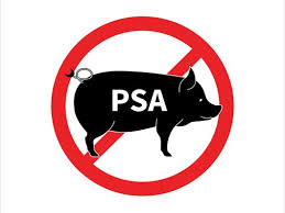 Peste suina africana (PSA): le indicazioni di ISPRA - Società Italiana di  Medicina Veterinaria Preventiva