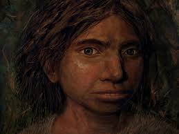 Denisovans ranged from siberia to southeast asia and may have persisted until as recently as 30 the method can't provide exact body measurements. Mkmaesmmn3bdqm