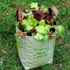 How To Grow Leaf Lettuce In A Reusable Grocery Bag Growing Vegetables In Containers Growing Vegetables In Pots Container Gardening Vegetables