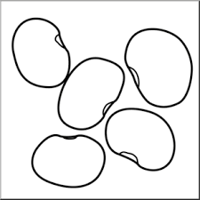 Seed to plant coloring worksheet the crafty classroom lima bean sheet pages 32 life cycle page in 2020 sunflower green beans free az sketch coffee line art clipart (#4027144) pinclipart. Clip Art Lima Beans B W I Abcteach Com Abcteach