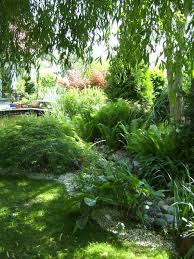 Zauberhafter Schattengarten Gartenzauber Schattengarten Schattenpflanzen Garten Garten