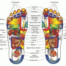 Pin On Reflexology