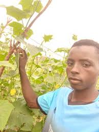 Jamaa mukoma gona EAST-WESTS SEED INTERNATIONAL TROPCOAT SWEET SANGRIA F1