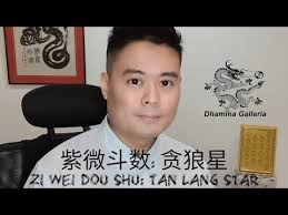 Zi Wei Dou Shu Lessons