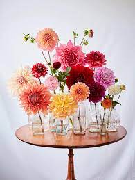 Martha S Flower Arranging Secrets Flower Arrangements Colorful Flowers Flower Vases