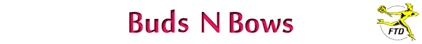 Who is terry's florist in little rock ar? Same Day Flower Delivery In North Little Rock Ar 72118 By Your Ftd Florist Buds N Bows 501 758 4520