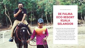 Kami beli tiket online, jimat rm80, harga walkin rm210, harga online rm130 untuk superior twin. Bercuti Di De Palma Eco Resort Kuala Selangor Mawardi Yunus