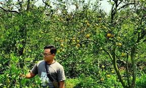 Check spelling or type a new query. Taman Agro Wisata Tuba Barat Akses Dan Tiket Masuk Terbaru Trip Jalan Jalan