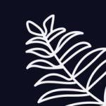 40 Off At Parabo Press 15 Coupon Codes Nov 2020 Discounts Promos