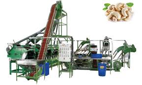 Automatic Cashew Nuts Processing Line Grading Shelling