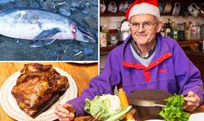 The different layers include turkey and potatoes, gravy, bread sauce, cranberry sauce, and christmas pudding. Pensioner Plans To Eat Dolphin For Christmas Dinner After Finding One Washed Up On Beach Uk News Express Co Uk