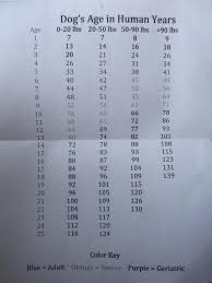 weight vs human age equivalent chart doberman forum