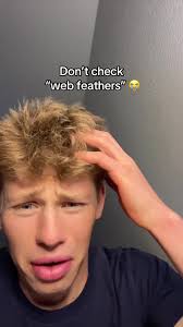 Exploring Web Feathers: What You Need to Know