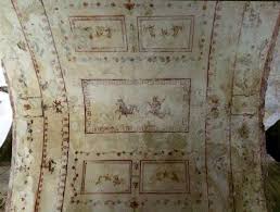 Image result for Cavacoa aurea