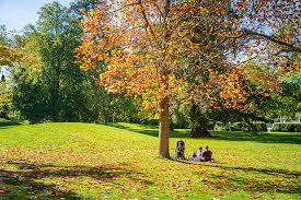 Musim luruh di hong kong. Gambar Galeri China New Scenery Vision New Zealand Jatuh Musim Luruh Latar Belakang Untuk Muat Turun Percuma