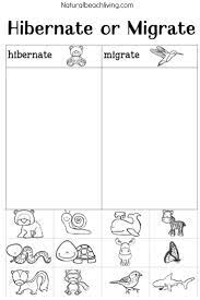 You Ll Love These Winter Animals For Preschool Ideas Hibernating Animals Preschool Winter Animals Preschool Animals That Hibernate