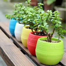 Pot bunga selalu hadir sebagai aksen desain interior yang multifungsi, terutama pot bunga yang tanpa buang waktu, yuk intip 10 pot bunga unik bareng kania untuk membuat rumah tampil makin. Jual Pot Bunga Plastik Mini Tanaman Hias Kecil Kaktus Dekorasi Rumah Electra Shop