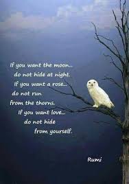 If You Want Love Don T Hide From Yourself Rumi Quotes Rumi Spiritual Love Quotes