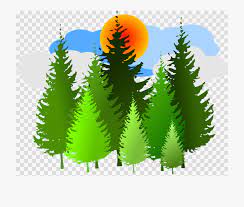 Download And Share In The Forest Clipart Transparent Background Cartoon Pine Tree Png Cartoon Seach More Similar Transparent Background Tree Icon Clip Art