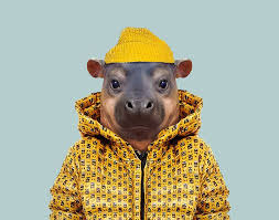 Maybe you would like to learn more about one of these? This Artist Spent 3 Years Dressing Zoo Animals Like Humans And The Clothes Fit Unbelievably Well Bored Panda