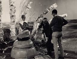 The Doctors:The Peter Davison Years