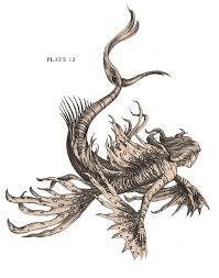 Pictures From The Resurrectionistby E B Hudspeth Mermaid Illustration Mythical Creatures Mermaid Art